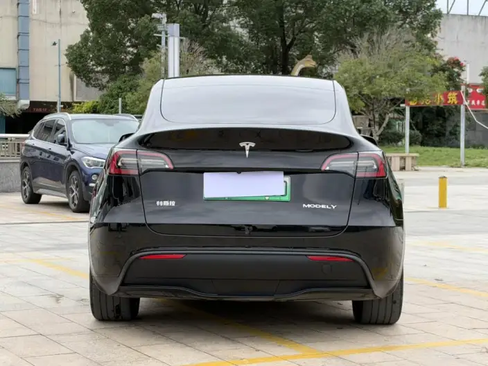 Model Y 2024 Model Rear-wheel drive version – фото 6