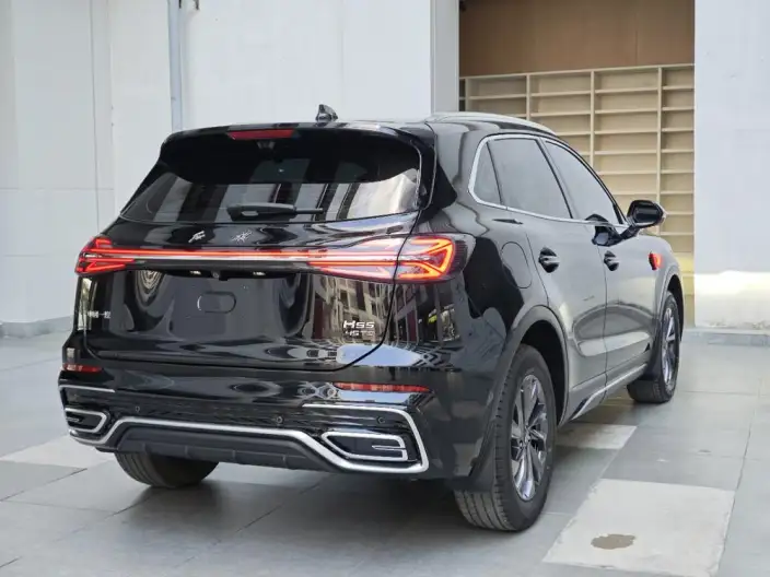 Hongqi HS5 2025 Model 2.0T Flag Xiang Pro Edition – фото 6