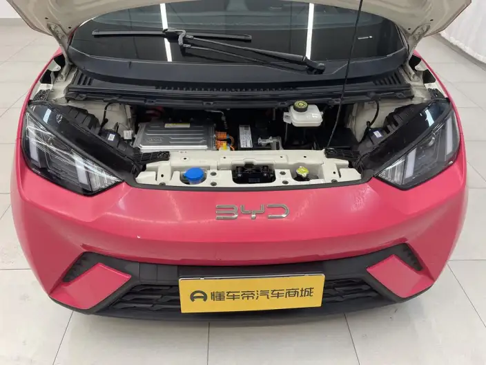 BYD Seagull 2025 Model 305KM Vitality Edition – фото 10