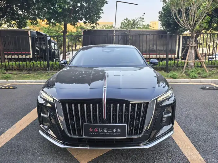 Hongqi H5 2025 Model 2.0T Automatic Flag Enjoy Edition – фото 2