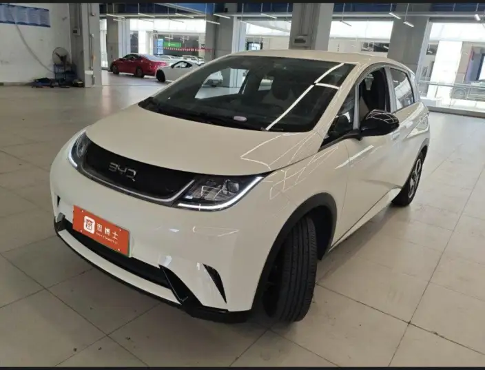 BYD Dolphin 2025 Model 420KM Vitality Edition – фото 1