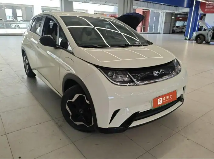 BYD Dolphin 2025 Model 420KM Vitality Edition – фото 2