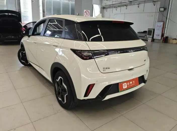 BYD Dolphin 2025 Model 420KM Vitality Edition – фото 3