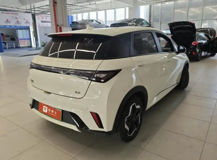 BYD Dolphin 2025 Model 420KM Vitality Edition – фото 4
