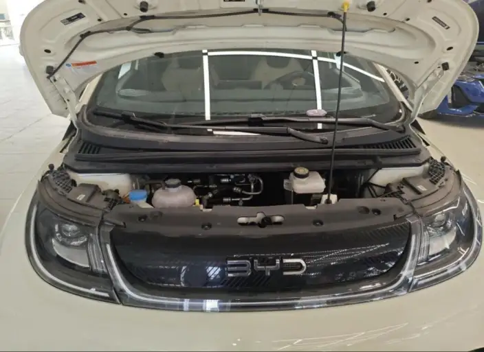 BYD Dolphin 2025 Model 420KM Vitality Edition – фото 5