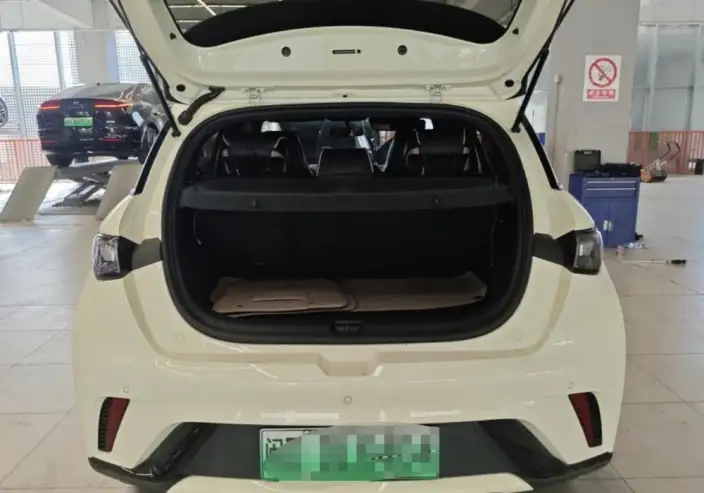 BYD Dolphin 2025 Model 420KM Vitality Edition – фото 9