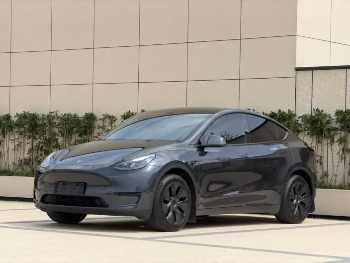 Model Y 2024 Model Rear-wheel drive version – фото 1