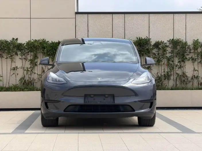 Model Y 2024 Model Rear-wheel drive version – фото 2