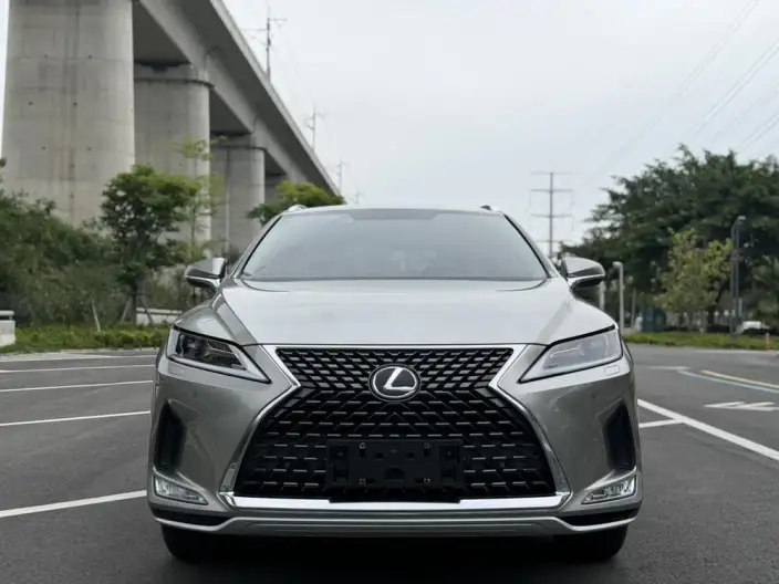 Lexus RX 2020 Model Facelift 300 2WD Elite Edition – фото 2