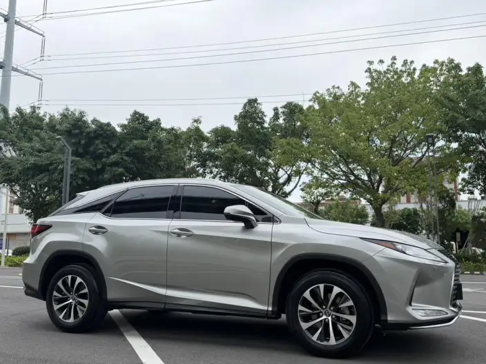 Lexus RX 2020 Model Facelift 300 2WD Elite Edition – фото 3