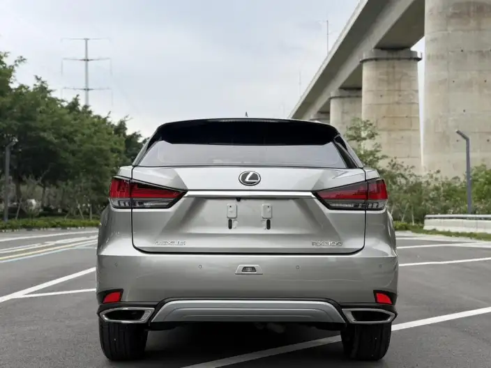 Lexus RX 2020 Model Facelift 300 2WD Elite Edition – фото 6