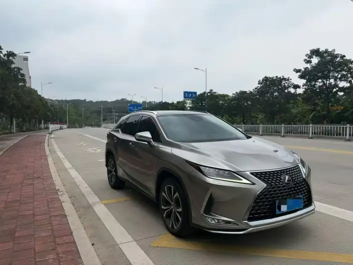 Lexus RX 2020 Model Facelift 300 4WD Elegant Edition – фото 3