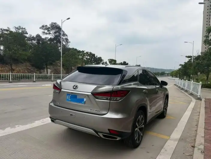 Lexus RX 2020 Model Facelift 300 4WD Elegant Edition – фото 6