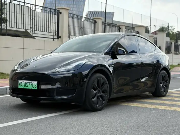 Model Y 2024 Model Rear-wheel drive version – фото 1