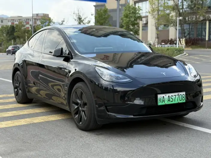 Model Y 2024 Model Rear-wheel drive version – фото 3