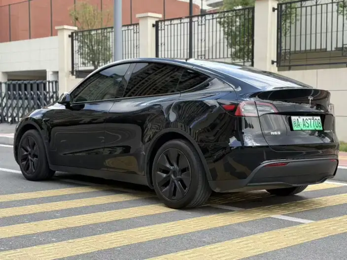 Model Y 2024 Model Rear-wheel drive version – фото 4