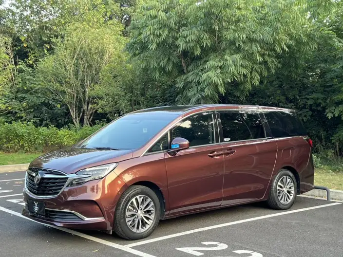 Buick GL8 2022 Model ES Luzun 653T Exclusive Model – фото 1