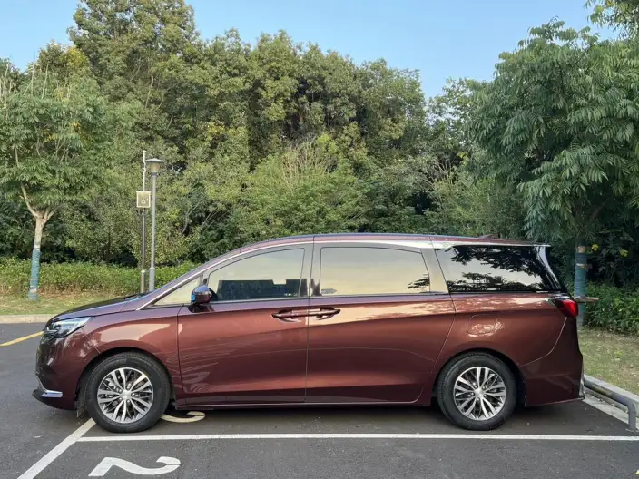 Buick GL8 2022 Model ES Luzun 653T Exclusive Model – фото 4