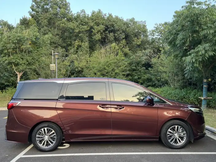 Buick GL8 2022 Model ES Luzun 653T Exclusive Model – фото 8