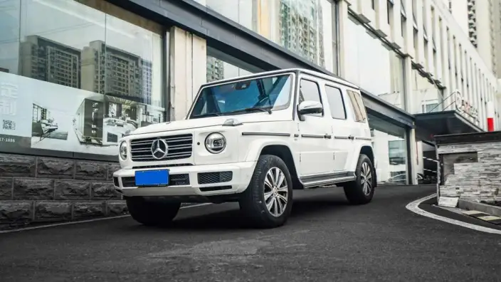 Mercedes-Benz G-Class 2023 Model G 350 – фото 1