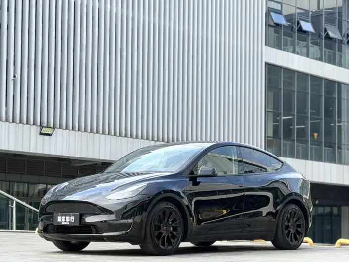 Model Y 2021 Model Standard Battery Life Rear-wheel drive version