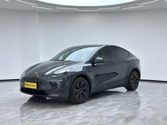 Model Y 2024 Model Long Battery Life Pro All-wheel drive version – фото 1