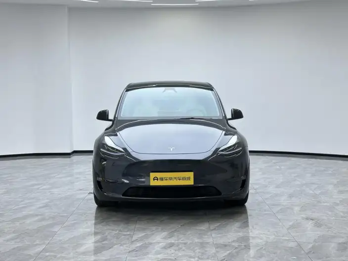Model Y 2024 Model Long Battery Life Pro All-wheel drive version – фото 2