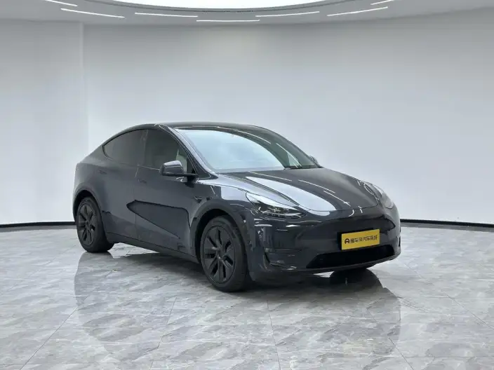 Model Y 2024 Model Long Battery Life Pro All-wheel drive version – фото 3