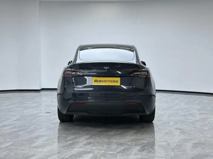 Model Y 2024 Model Long Battery Life Pro All-wheel drive version – фото 6