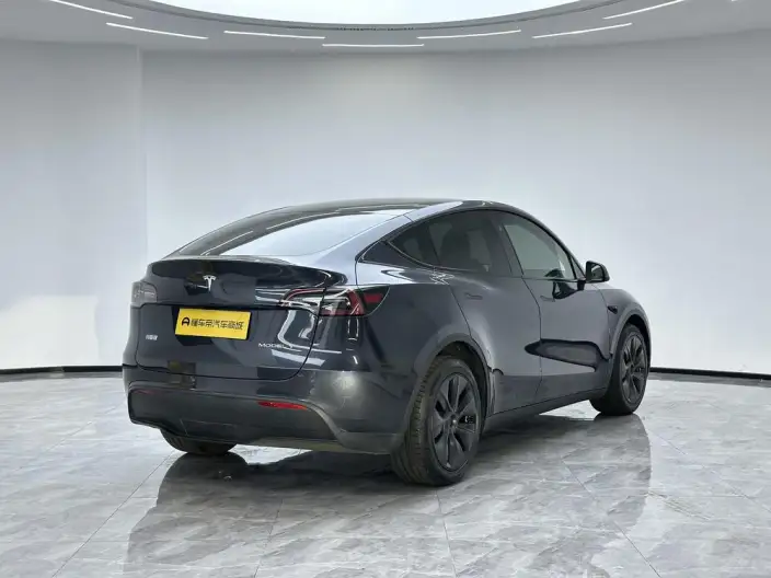 Model Y 2024 Model Long Battery Life Pro All-wheel drive version – фото 7