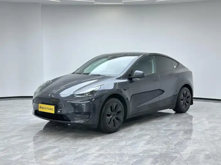 Model Y 2024 Model Rear-wheel drive version – фото 1