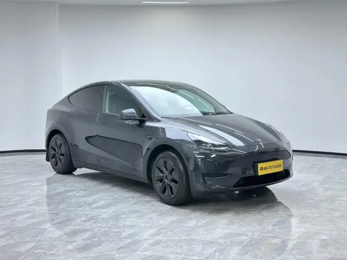 Model Y 2024 Model Rear-wheel drive version – фото 3