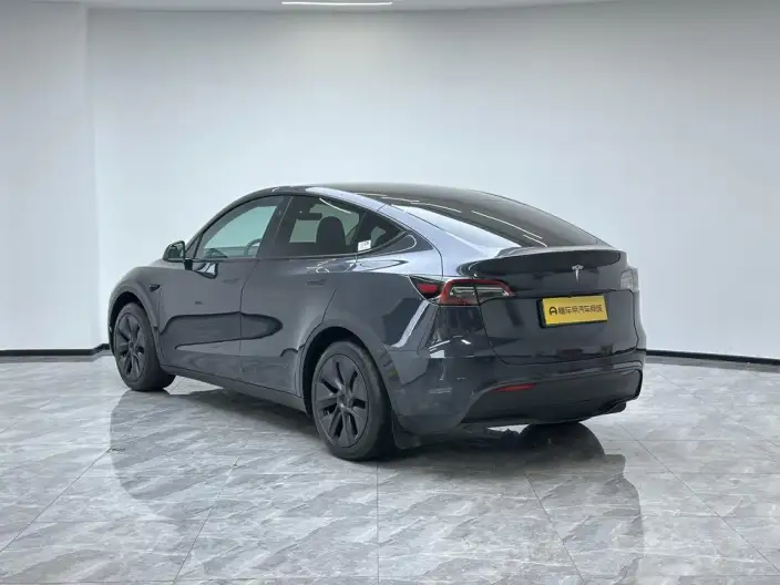Model Y 2024 Model Rear-wheel drive version – фото 5