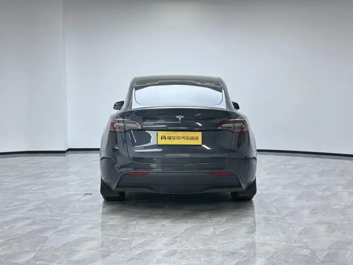 Model Y 2024 Model Rear-wheel drive version – фото 6