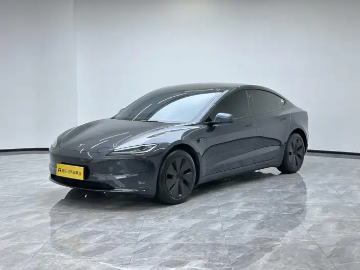 Model 3 2023 Model Long Battery Life Pro All-wheel drive version – фото 1