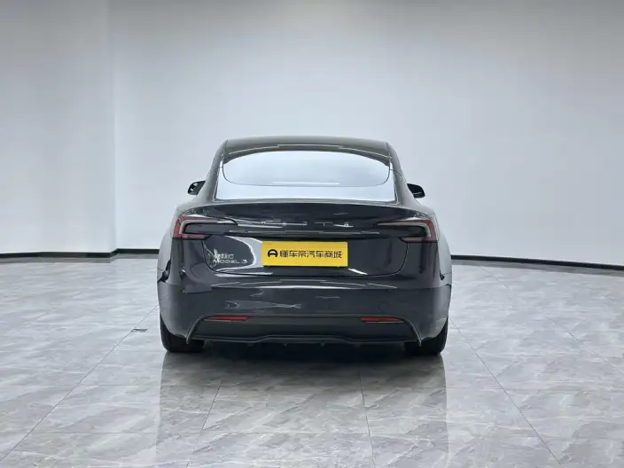 Model 3 2023 Model Long Battery Life Pro All-wheel drive version – фото 6