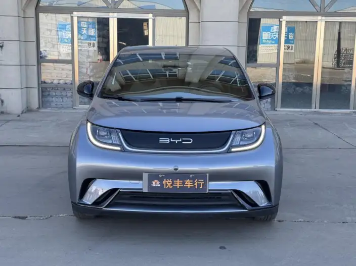 BYD Dolphin 2023 Model Free Edition – фото 2