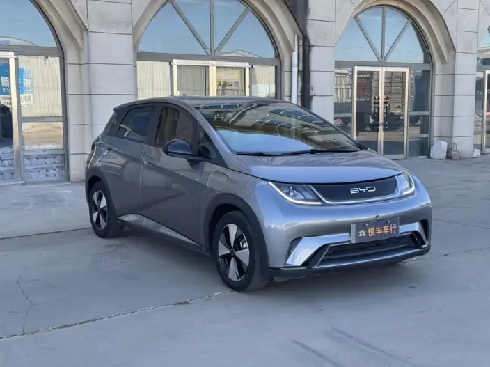 BYD Dolphin 2023 Model Free Edition – фото 3