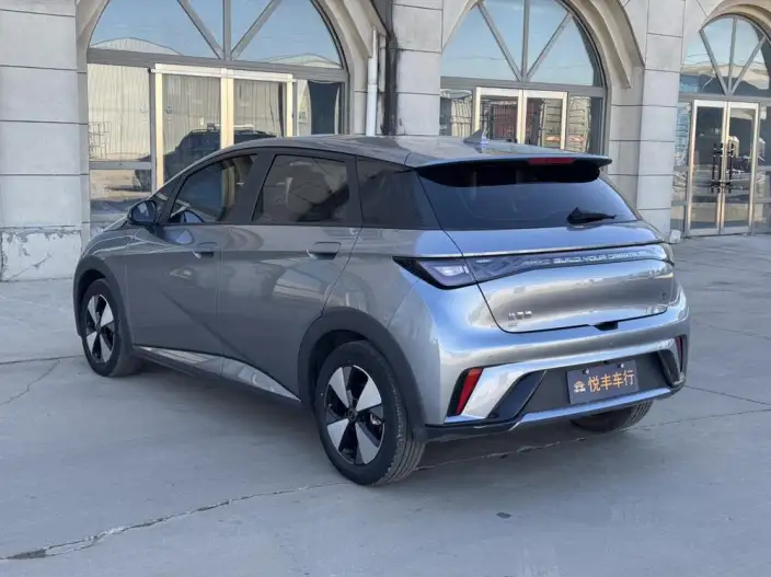 BYD Dolphin 2023 Model Free Edition – фото 4