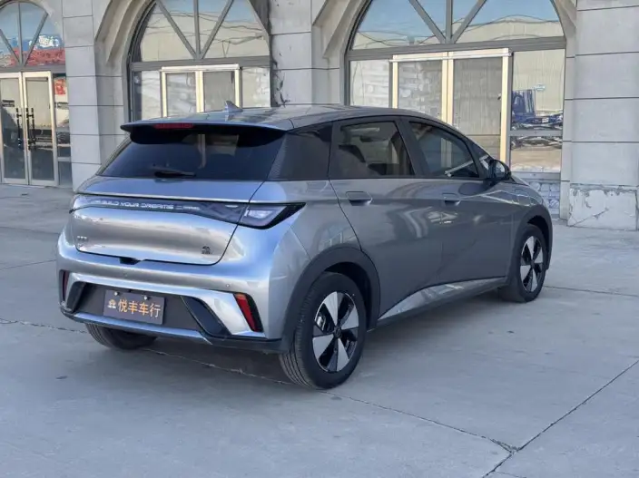 BYD Dolphin 2023 Model Free Edition – фото 6
