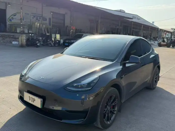 Model Y 2024 Model Rear-wheel drive version – фото 1