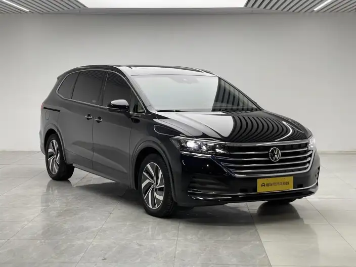 Viloran 2022 Model 330TSI Deluxe Edition – фото 3