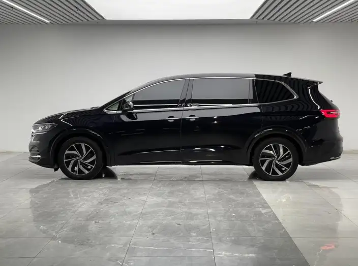 Viloran 2022 Model 330TSI Deluxe Edition – фото 4
