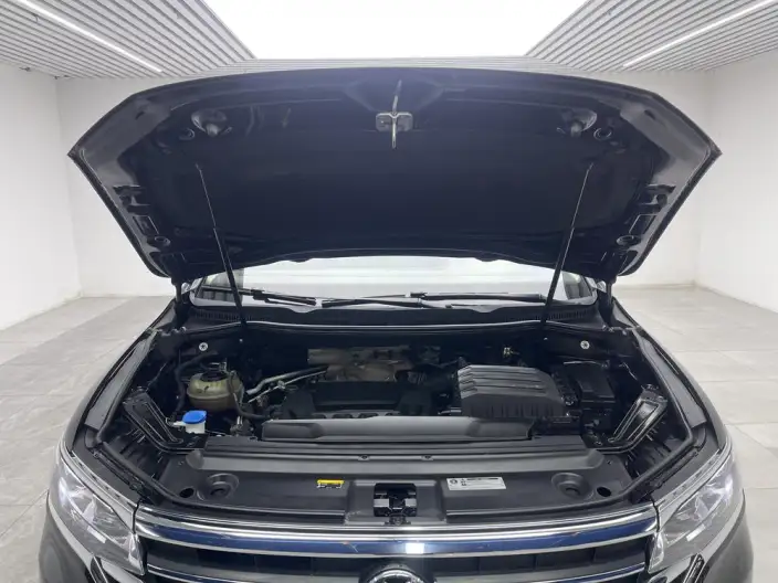 Viloran 2022 Model 330TSI Deluxe Edition – фото 10