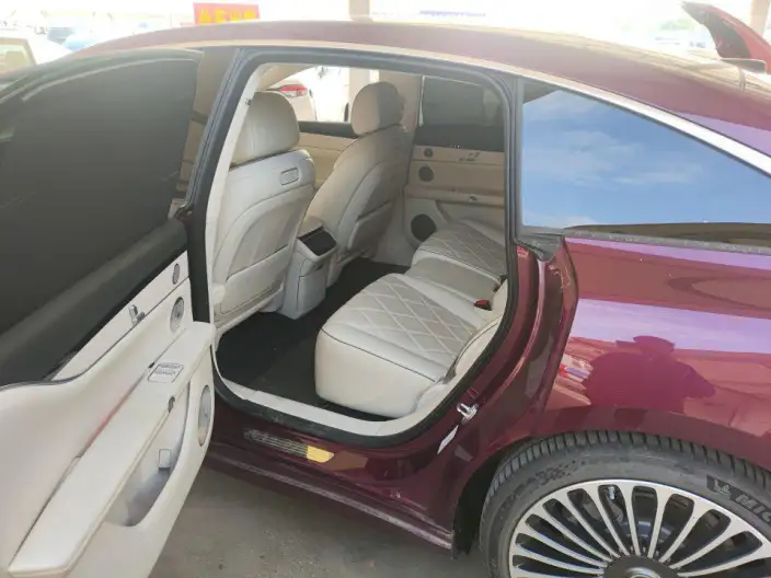 Stelato S9 2024 Model EV 4WD Ultra – фото 8