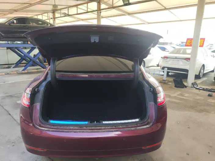 Stelato S9 2024 Model EV 4WD Ultra – фото 9