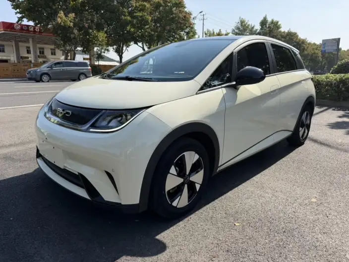 BYD Dolphin 2023 Model Free Edition – фото 1
