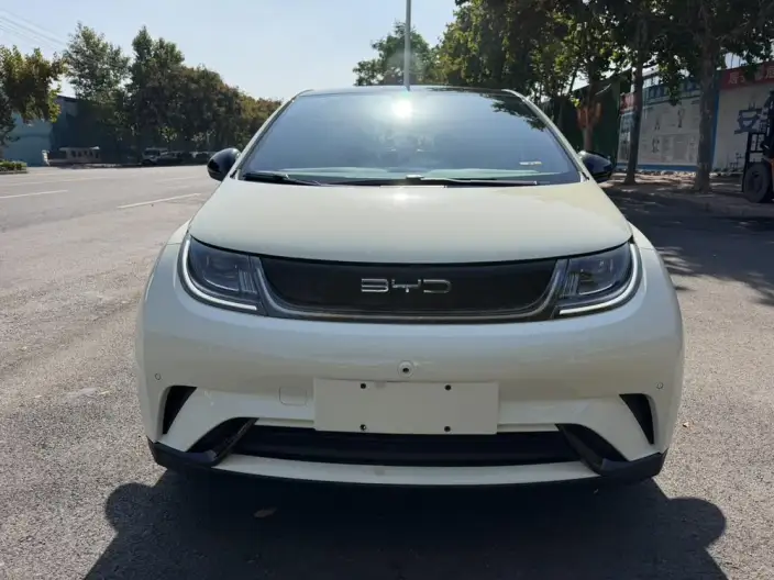 BYD Dolphin 2023 Model Free Edition – фото 2