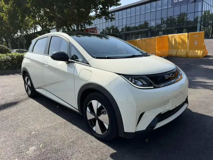 BYD Dolphin 2023 Model Free Edition – фото 3