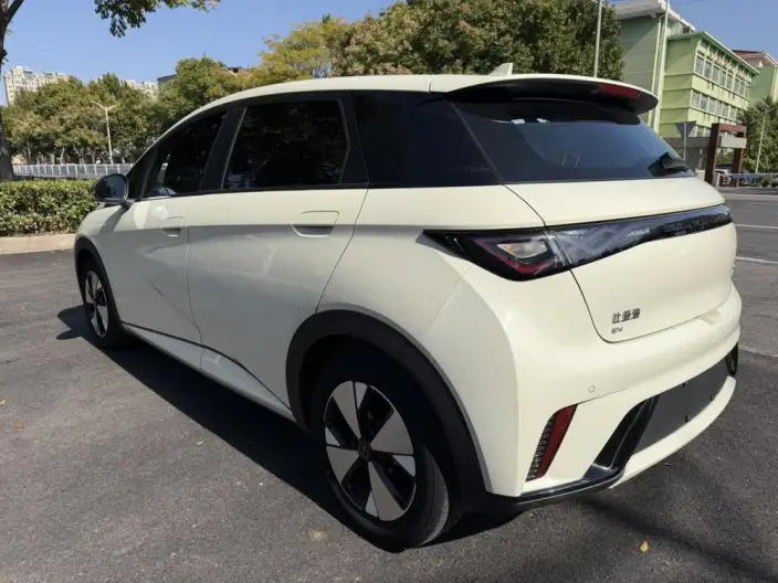BYD Dolphin 2023 Model Free Edition – фото 4